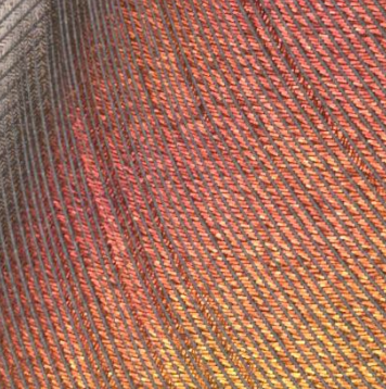 Appearance Modeling of Iridescent Feathers with Diverse Nanostructures